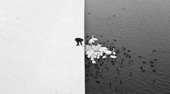 Photo of the year by Marcin Ryczek at the Galerie Roi Doré